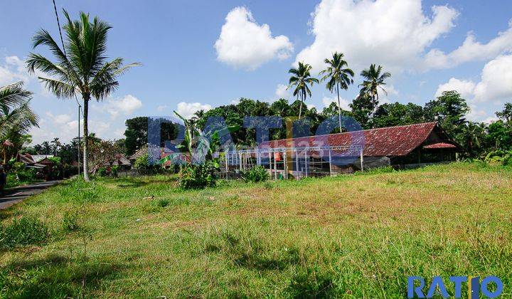 Tanah Pinggir Jalan, Lingkungan Hijau Dekat Payangan Hospital  5