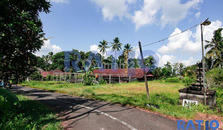 Tanah Pinggir Jalan, Lingkungan Hijau Dekat Payangan Hospital  7