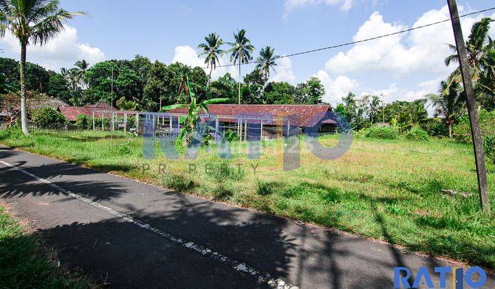 Tanah Pinggir Jalan, Lingkungan Hijau Dekat Payangan Hospital  8