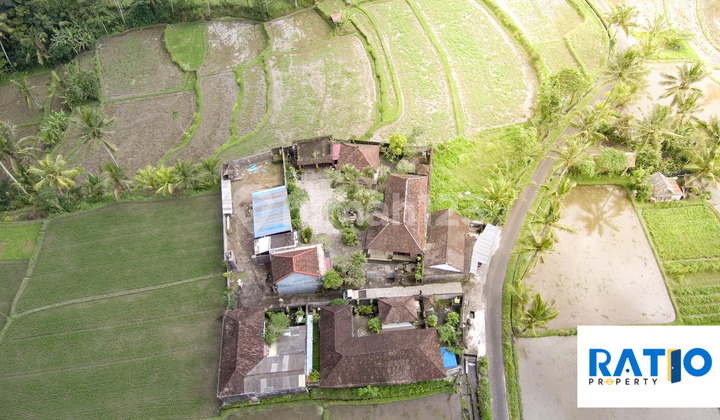 Dijual Rumah Luas Siap Huni Dekat Tirta Empul Gianyar 8