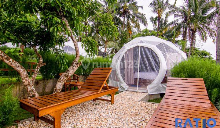 Dikontrakan Resort Mewah 18 Kamar Di Nusa Penida Bali 4