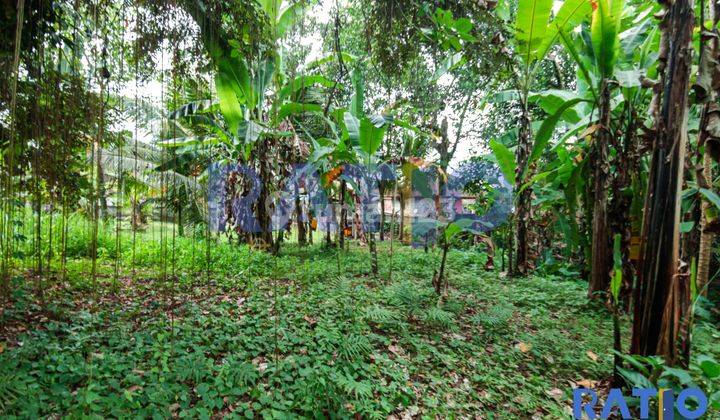 Leasehold 25th, Tanah Cocok Untuk Villa Di Ubud  2