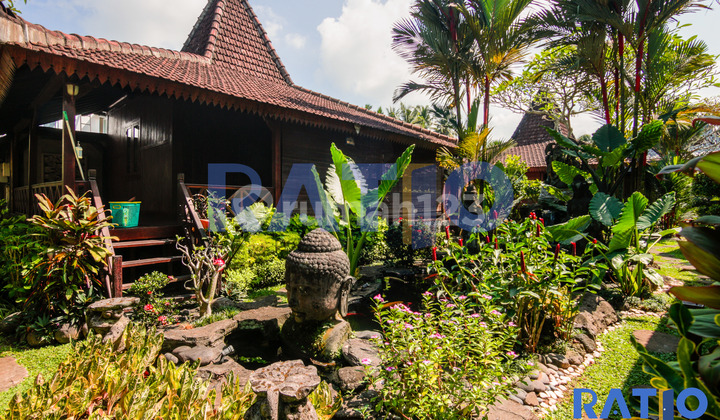 Long Leased Villa 10 Are Masih Beroperasi Di Ubud  1