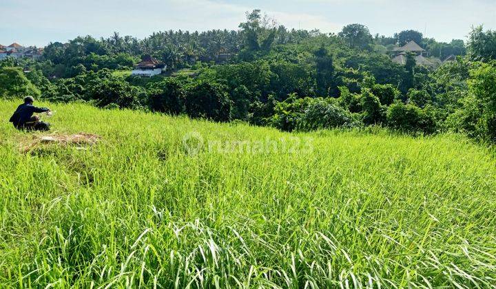 Lahan Kosong Cocok Untuk Vill  2