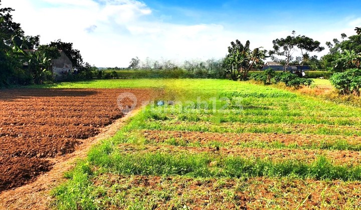 Lahan tanah luas 60x41 2478m Babelan Bekasi