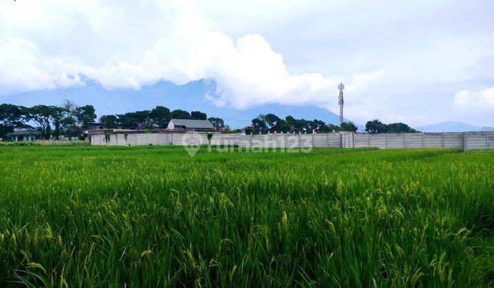 Dijual Cepat Lahan Komersial Luas 3360m Garut Jawa Barat 1