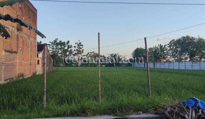 Dijual Tanah Sawah Cocok Untuk Perumahan Jl Imogiri Barat Bantul Yogyakarta  2