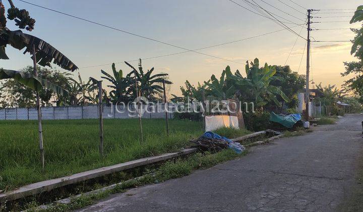 Dijual Tanah Sawah Cocok Untuk Perumahan Jl Imogiri Barat Bantul Yogyakarta 