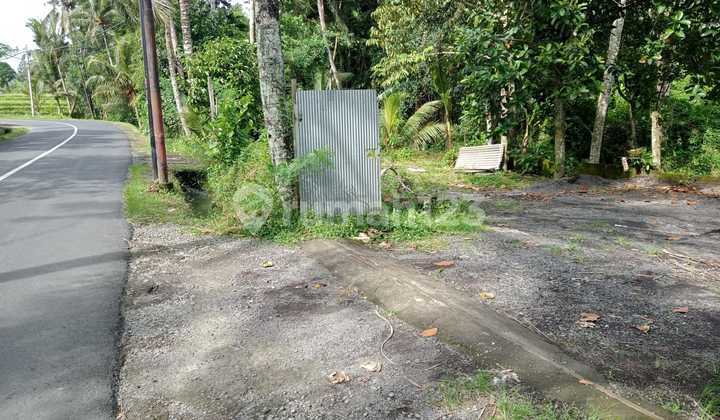 Jual tanah size kecil lokasi klungkung 4