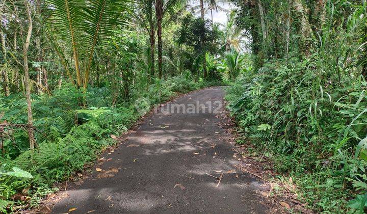 Jual tanah pinggir jalan 100% datar 1