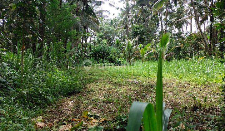 Jual tanah pinggir jalan 100% datar 2