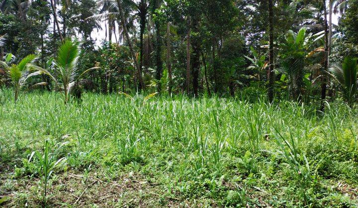 Jual tanah pinggir jalan 100% datar 5