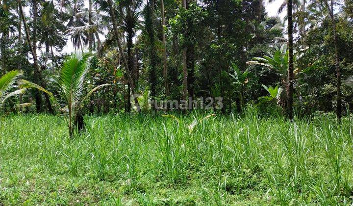 Jual tanah pinggir jalan 100% datar 10
