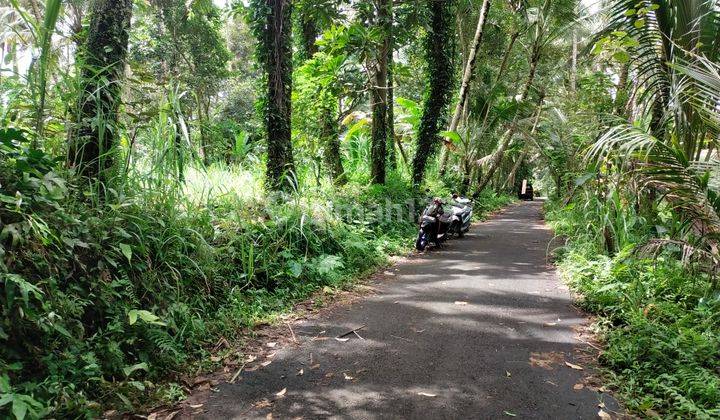 Jual tanah pinggir jalan 100% datar 12