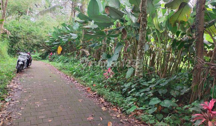 Di jual tanah datar belakang view jungle dan sungai sangat nyaman dan tenang 1