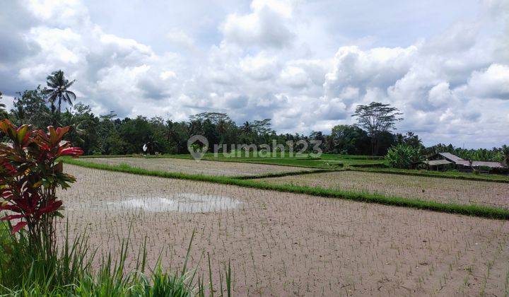 Di jual tanah view sangat cantik 2