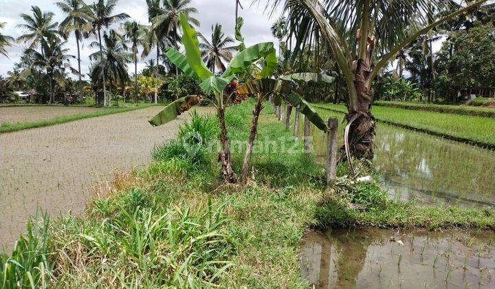 Di jual tanah view sangat cantik 3