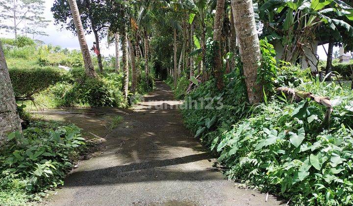 Di jual tanah view sangat cantik 5