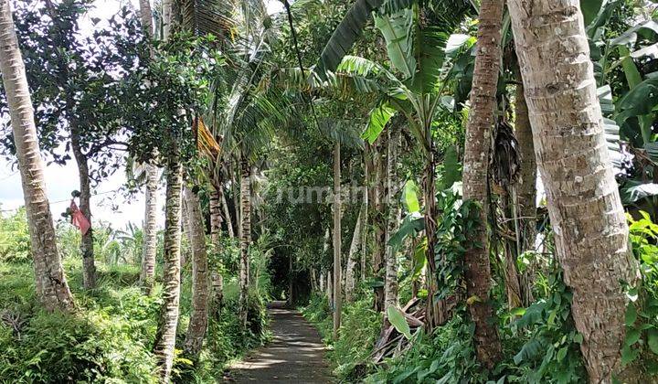 Di jual tanah view sangat cantik 7