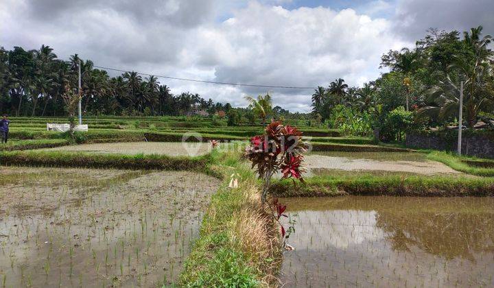 Di jual tanah view sangat cantik 9