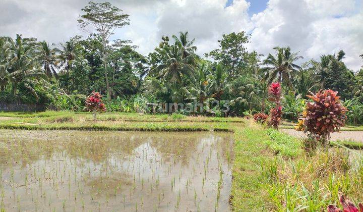 Di jual tanah view sangat cantik 10
