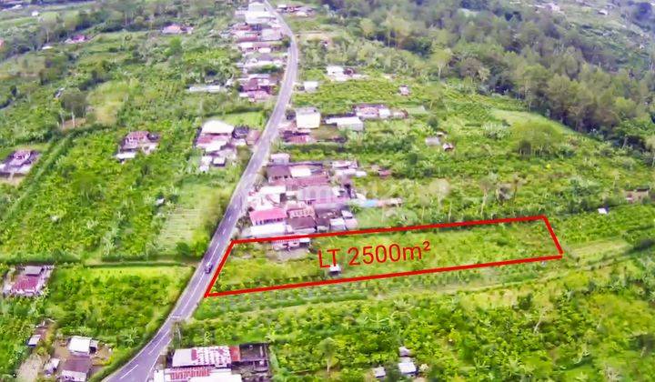 Di jual tanah murah pinggir jalan kintamani  2