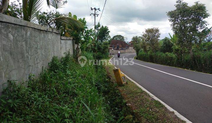 Di jual tanah murah pinggir jalan kintamani  5