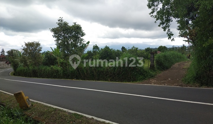 Di jual tanah murah pinggir jalan kintamani  6