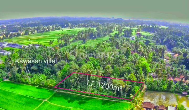 Di sewakan tanah lokasi kawasan villa 1