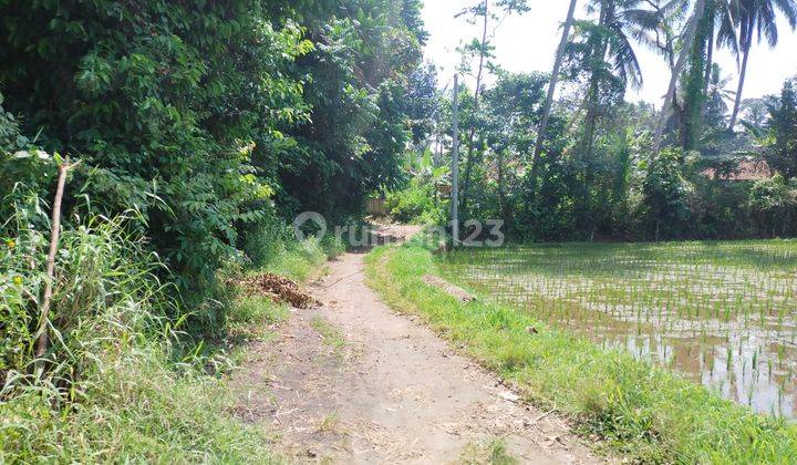 Di sewakan tanah lokasi kawasan villa 8