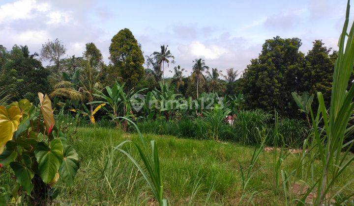 Di jual tanah murah pinggir jalan. View lembah dan GWK 6