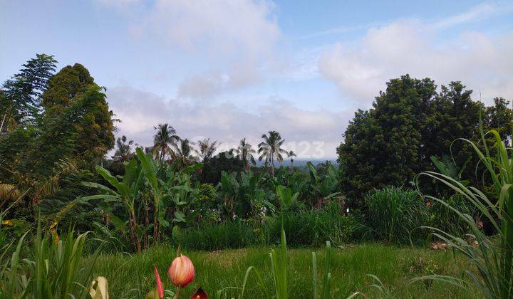Di jual tanah murah pinggir jalan. View lembah dan GWK 8