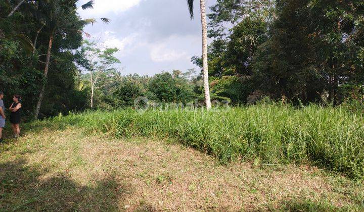 Di jual cepat tanah dekat istana presiden bali