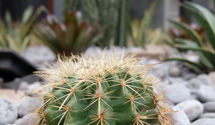 Di Jual Rumah Dalam Cluster Area Pesanggrahan Dekat Bintaro Pesanggrahan Jakarta Selatan 2