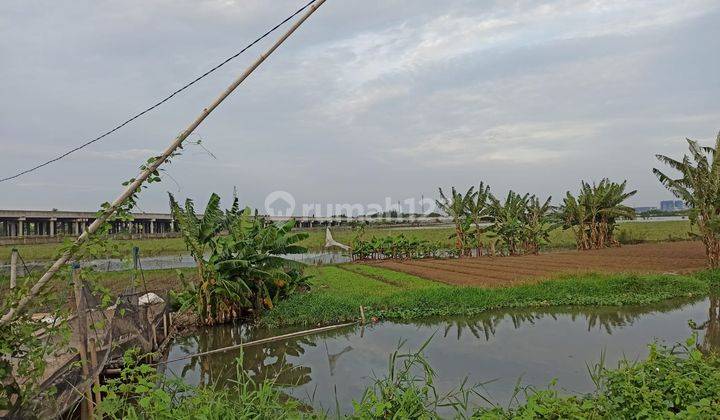 Tanah Super Murah Untuk Perumahan Dekat Tol Kawasan Industri 1