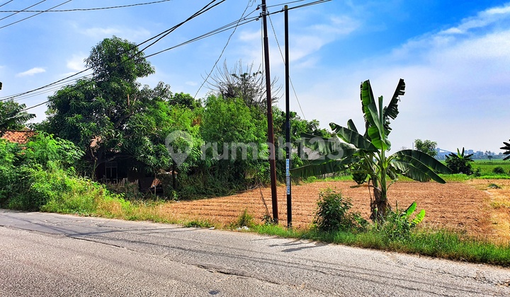 Tanah Murah Bekasi Babelan Kavling Perumahan Cluster SHM Tanah Murah Bekasi Babelan Kavling Perumahan Cluster SHM