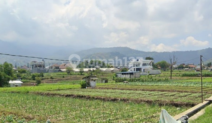 Tanah Strategis Kota Batu Malang Desa Sumberejo Pinggir Jalan Tanah Strategis Kota Batu Malang Desa Sumberejo Pinggir Jalan