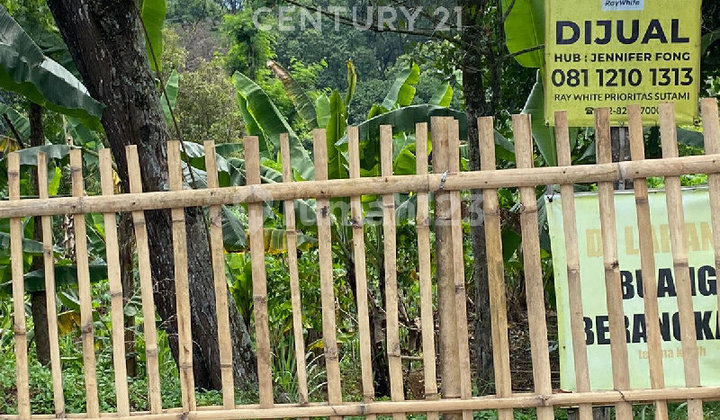 Tanah View Tahura, Hutan Eksotik Di Bukit Pakar Utara Dago Tahura Tanah View Tahura, Hutan Eksotik Di Bukit Pakar Utara Dago Tahura