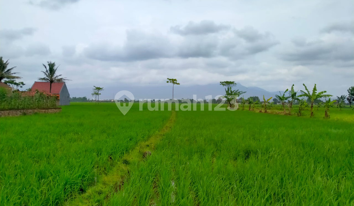 Dijual Mainroad Kav Depan Puri Melia Asri Gedebage Dijual Mainroad Kav Depan Puri Melia Asri Gedebage