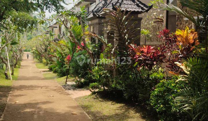 Villa Baru Tegallalang Sebatu Gianyar Bali 1