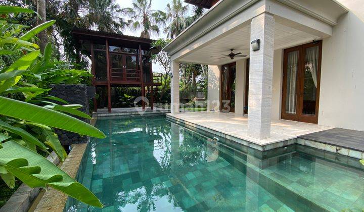 Beautiful House tropical modern style at Cipete Area 1