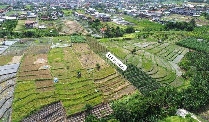 Tanah 6 Kavling Premium Di Kerobokan Stuja 3 2