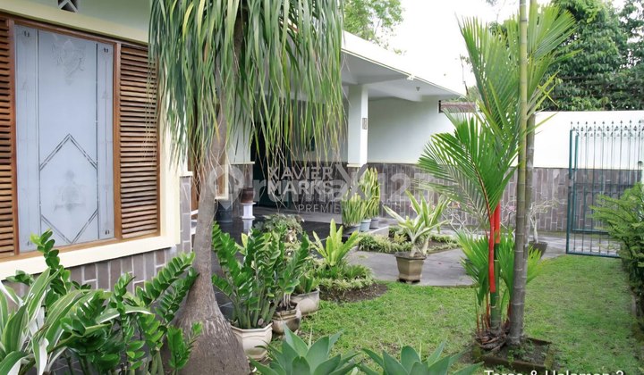 Rumah Selangkah ke Suhat Jl. Bunga-Bunga Cocok untuk Rumah Hunian atau Rumah Kos Dekat Ub Suhat Malang 2