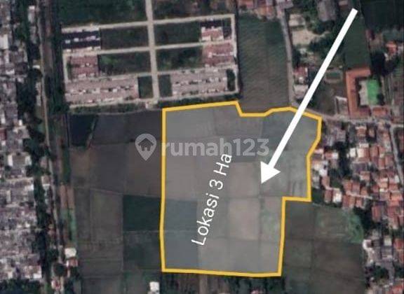 Dijual Cepat Tanah Sawah Produktif 2