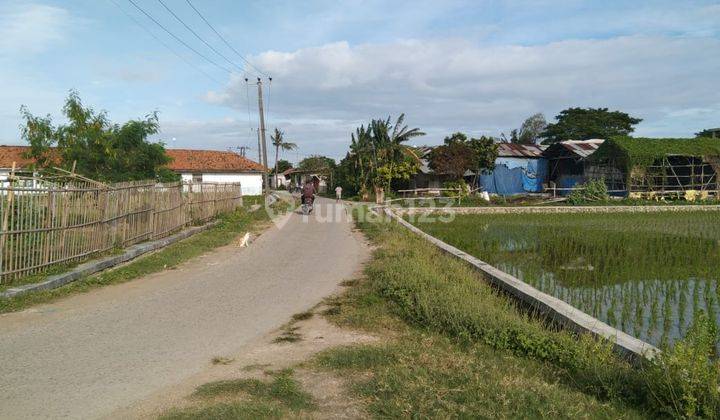 Dijual Cepat Tanah Sawah Produktif 3
