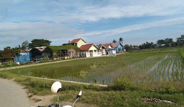 Dijual Cepat Tanah Sawah Produktif 4