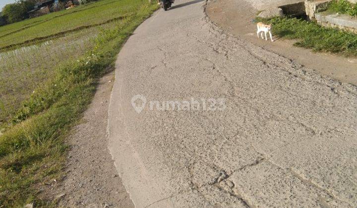 Dijual Murah Tanah Sawah di Sukatani 2