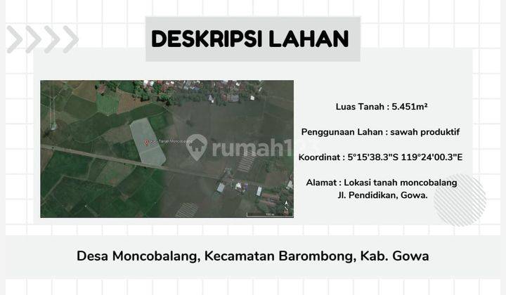 Dijual Tanah Lahan Sawah Produktif Jl. Pendidikan Barombong 1