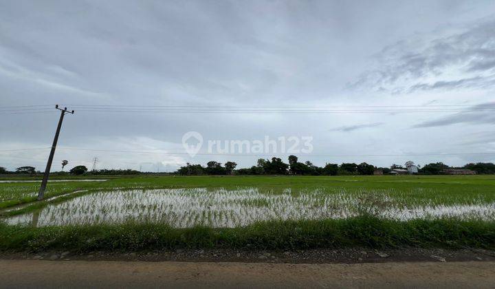 Dijual Tanah Lahan Sawah Produktif Jl. Pendidikan Barombong 2