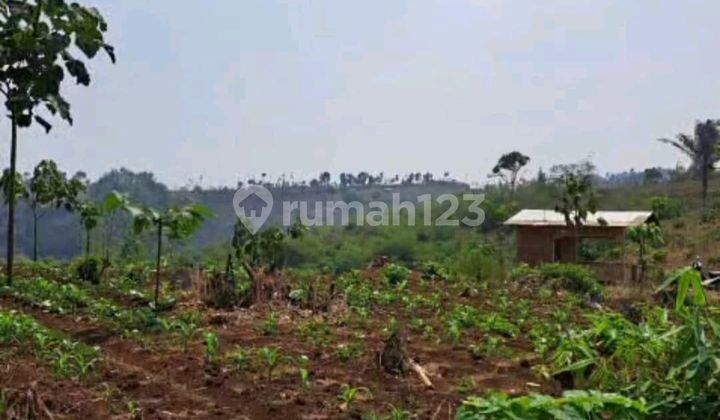 Tanah Zona Kuning Soreang Ciwidey Bandung Luas, Akses 2 Mobil